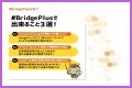 BridgePlus Manual