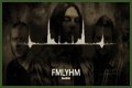 
                    Seether
                     – 
                    FMLYHM lyrics
                