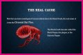 What Really Caused the Black Death: Anthrax or Celestial Bodies?